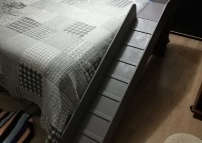 Rampe pour chat avec difficultés de déplacement